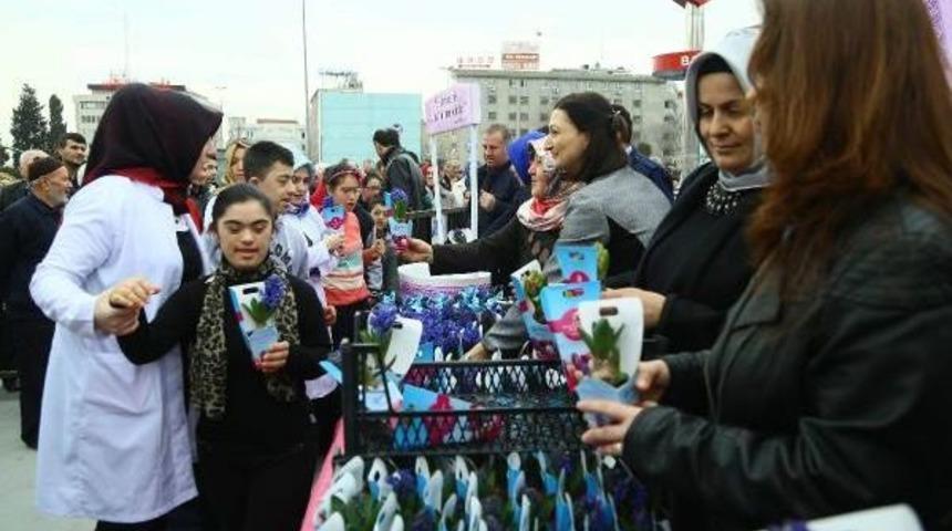8 Mart D&uuml;nya Kadınlar G&uuml;n&uuml; Nedeniyle Bağcılar'da 14 Bin S&uuml;mb&uuml;l Dağıtıldı
