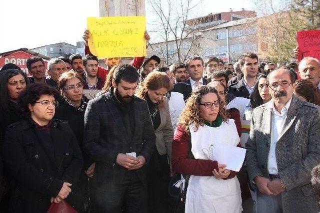 Dbp Eş Genel Başkanı Ayna Bingöl’de