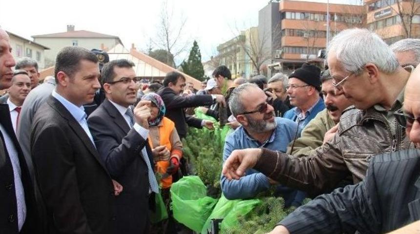 Yeşil Bir &Ccedil;an İ&ccedil;in &Uuml;cretsiz 50 Bin Fidan