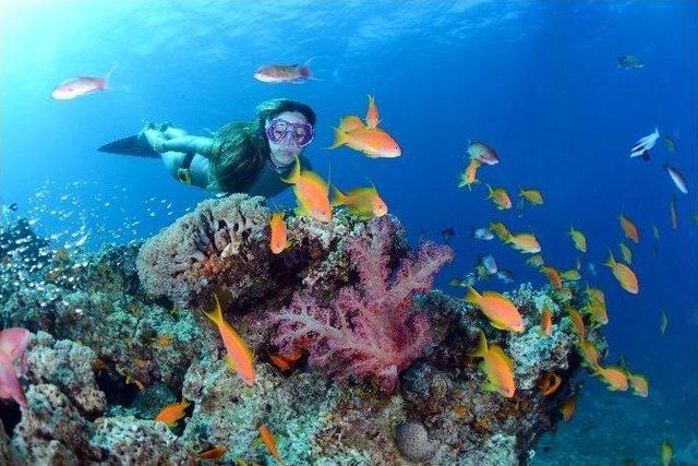 Şahika Erc&uuml;men Nefesini Kadınlar İ&ccedil;in Tutacak 1
