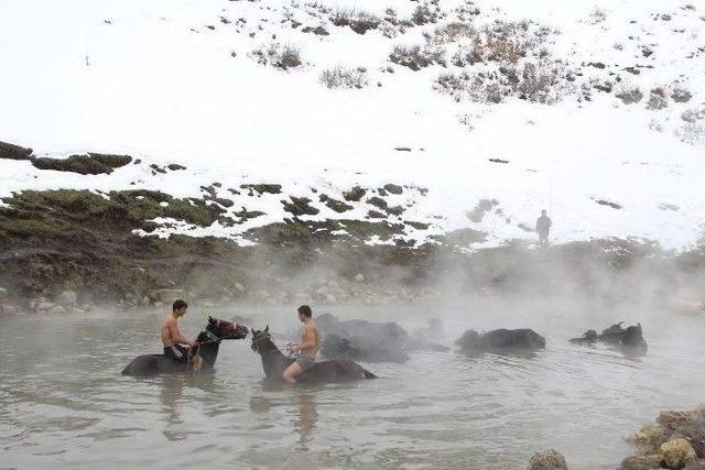 Ahlat&rsquo;ta Fotoğraf Etkinliği Başladı 1