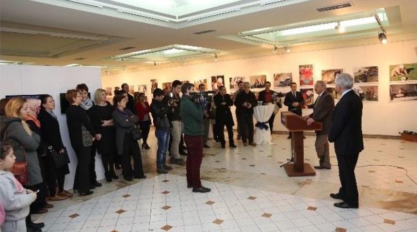 Bursa K&ouml;ylerinden Kadın Portreleri