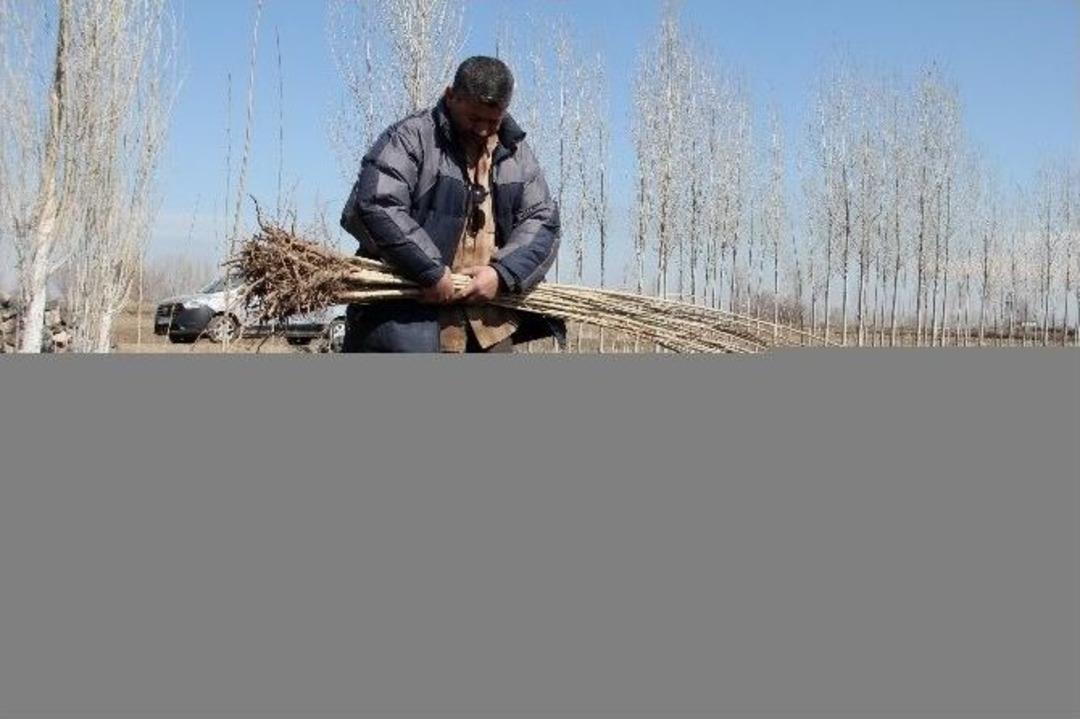 Cemre&rsquo;nin Toprağa D&uuml;şmesiyle Birlikte Fidan Dikimi Başladı