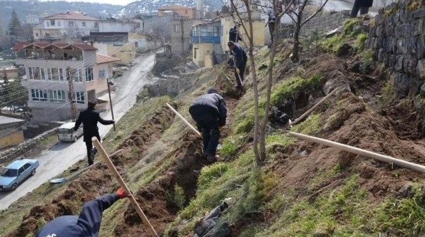 5 Bin Fidan Toprakla Buluştu