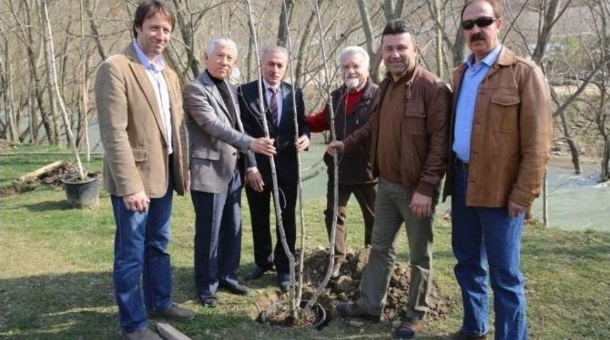 Nil&uuml;fer&rsquo;de Fidanlar Toprakla Buluştu