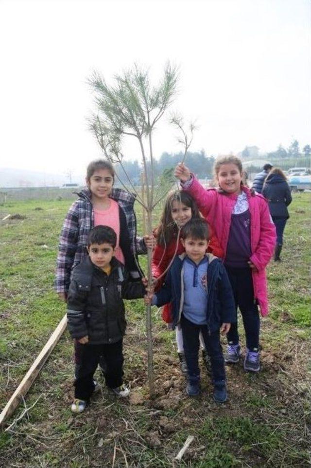 Nilüfer’de Fidanlar Toprakla Buluştu