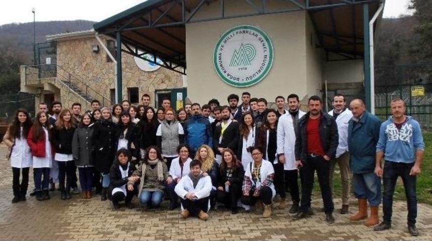 Veteriner Adayları Yaracabey Yaban Hayatı Kurtarma Ve Rehabilitasyon Merkezi&rsquo;ni Gezdi