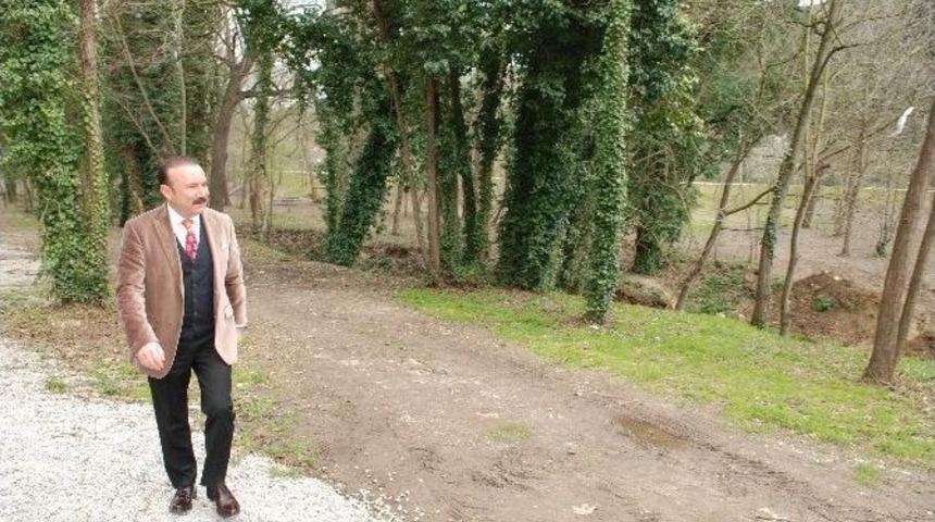 Doğan, Mesire Alanında İncelemelerde Bulundu