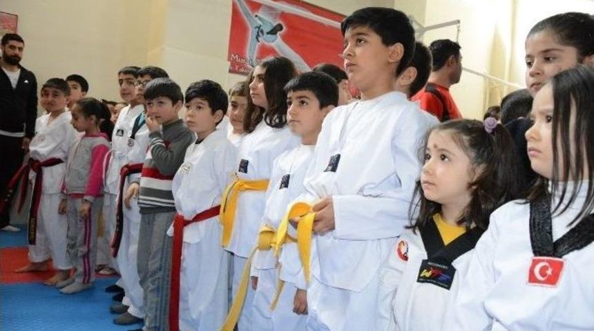 Tekvandoculara Malzeme Desteği