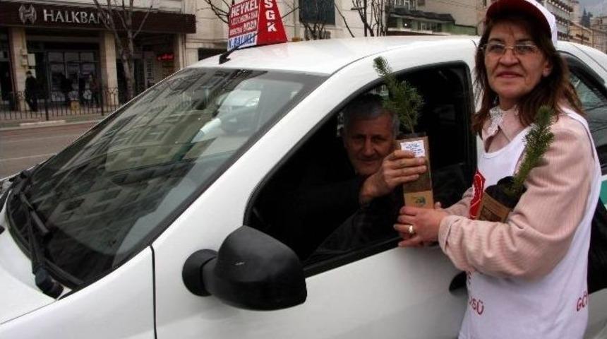 Kadına Şiddete Dikkat &Ccedil;ekmek İ&ccedil;in Fidan Dağıttılar