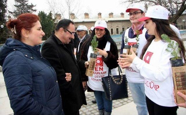 Kadına Şiddete Dikkat Çekmek İçin Fidan Dağıttılar 1