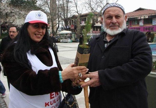 Kadına Şiddete Dikkat Çekmek İçin Fidan Dağıttılar 3