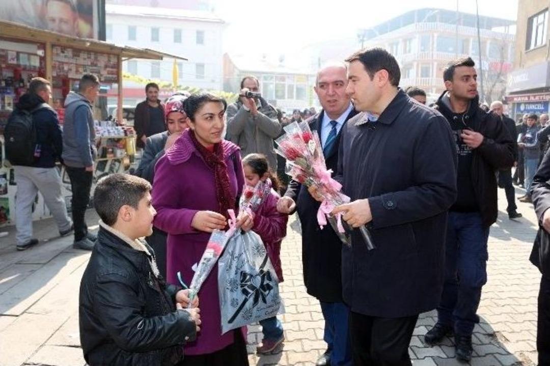 Vali Musa Işın Karanfil Dağıttı