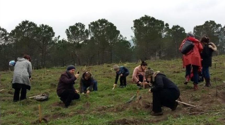 Dünya Kadınlar Gününde Doğaya Fidan