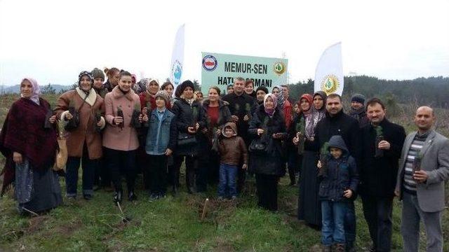 Dünya Kadınlar Gününde Doğaya Fidan