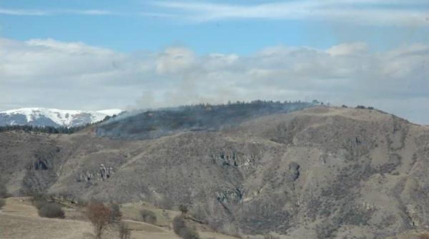 G&uuml;rcistan Sınırında Yangın