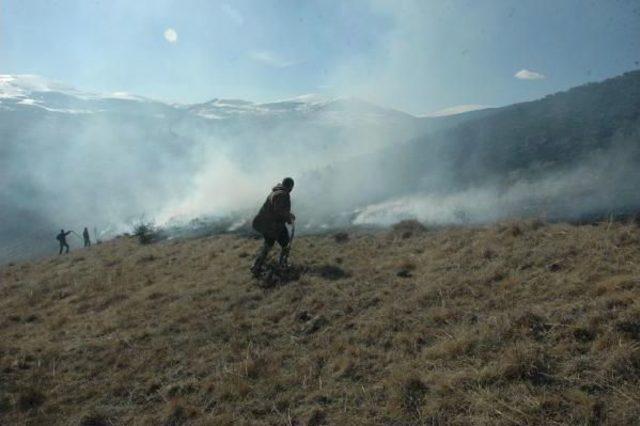Gürcistan Sınırında Yangın