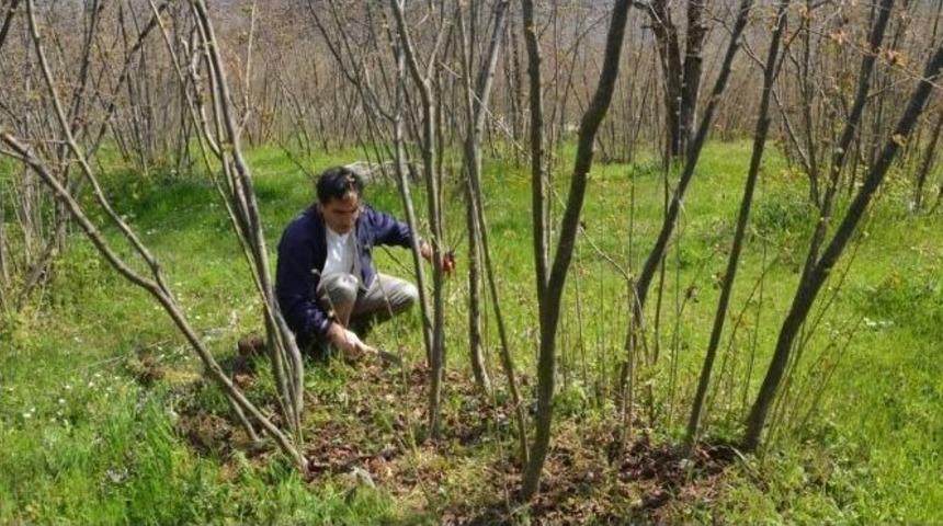 Yılmaz: "gelişi G&uuml;zel G&uuml;bre Kullanılmamalı"