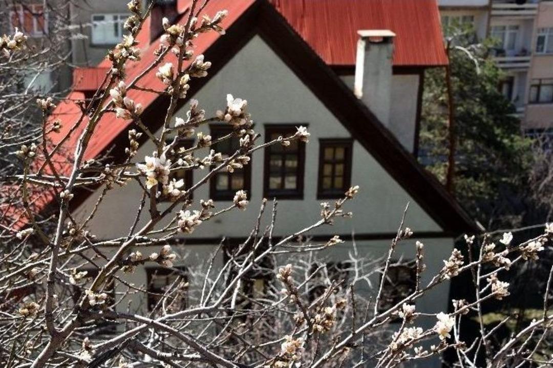 G&uuml;m&uuml;şhane&rsquo;nin Bir Tarafı Yaz, Bir Tarafı Kış