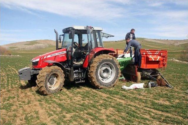 Yozgat’ta Çiftçiler Ekinlerini Gübreleme Çalışmalarına Başladı