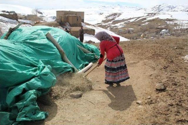 Eşi Kurt Saldırısında Öldü, 4 Kızıyla Yaşam Mücadelesi Veriyor