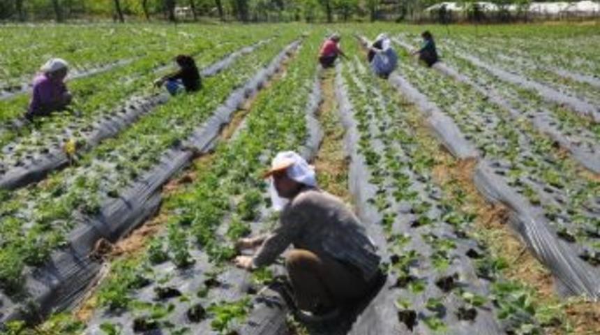 Kkydp Ekonomik Yatırımlar İ&ccedil;in S&uuml;re 3 Ekim&rsquo;e Kadar Uzatıldı