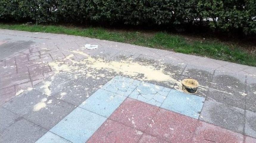 Belediyeden &Ccedil;evreyi Kirletmeyin &Ccedil;ağrısı