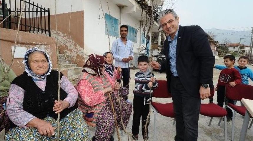 Karşıyaka&rsquo;da İki Bin Fidan Dağıtıldı