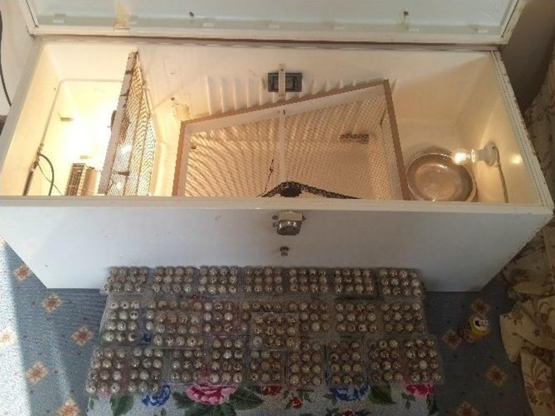 Ortaokul Mezunu Gen&ccedil; Buzdolabından Kulu&ccedil;ka Makinesi Yaptı