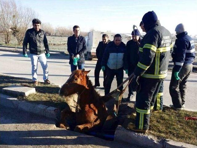 Gönüllü İtfaiyecilerden Gerçek Gibi Tatbikat