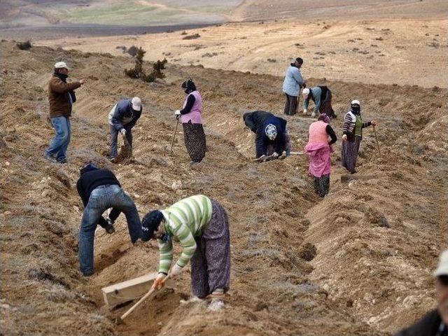 Eskişehir Orman Bölge Müdürlüğü’ne 3 Bin 500 Geçici İşçi Alınacak