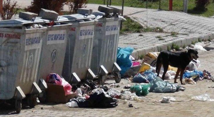 Biriken Çöpler Vatandaşların Kabusu Oldu G2