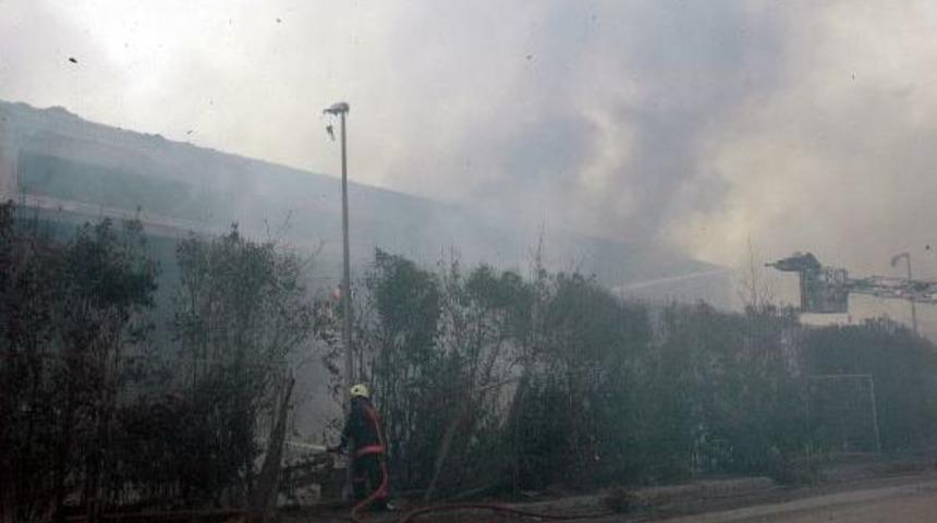 Karton Fabrikasında Yangın (2)