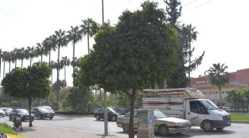 Pet Su Şişesi Dolu Bebek Arabası Korkuttu