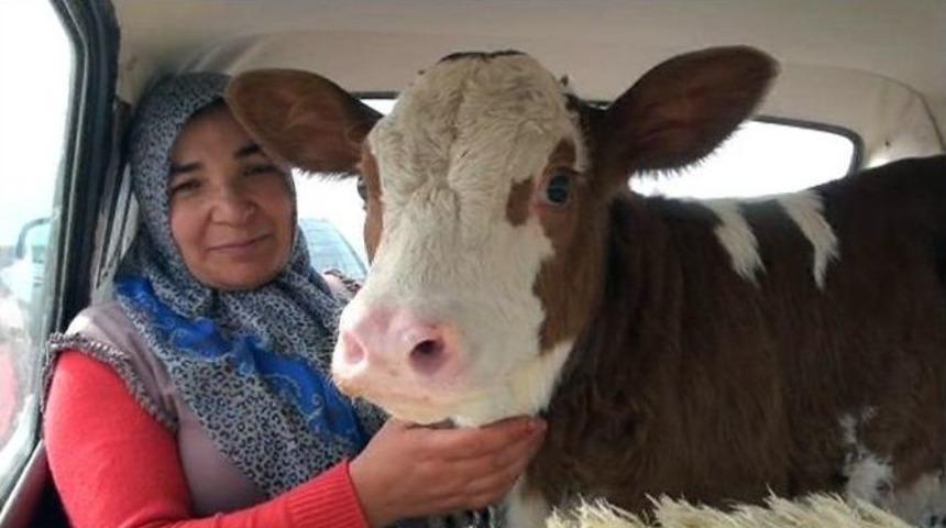Sarıkız Otomobilde Yolculuk Yaptı