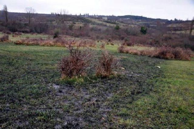 Dilovası nda Dereler Simsiyah Akmaya Başladı 1