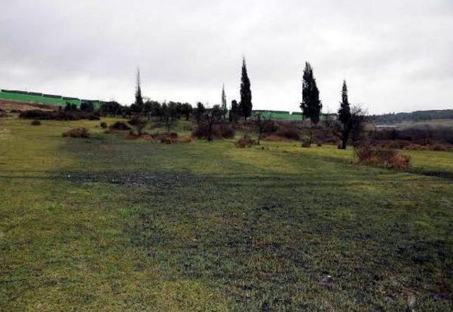 Dilovası nda Dereler Simsiyah Akmaya Başladı 2