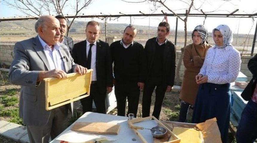 Arıcılık Ve K&uuml;lt&uuml;r Mantar Yetiştiriciliğine Yoğun İlgi