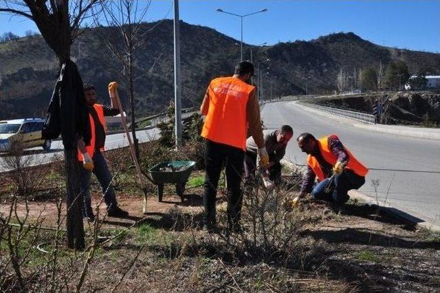 Tunceli’de Park Ve Refüjlerde Temizlik Çalışması