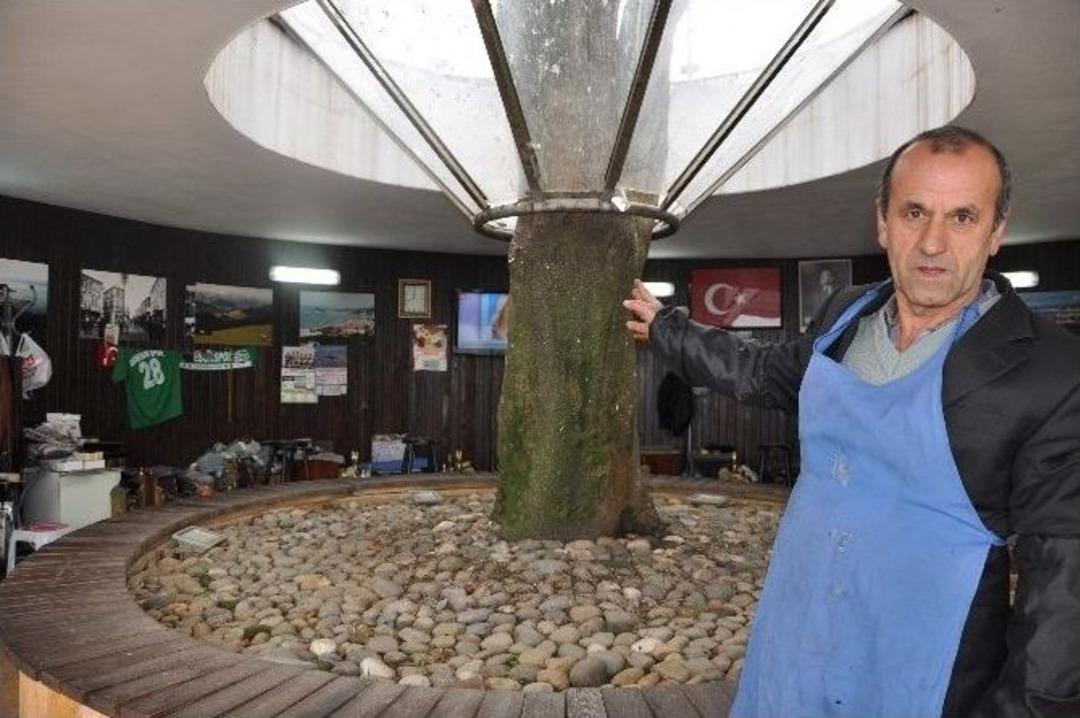 "her Şey Ağa&ccedil; Kesilmesin" Diye Yapıldı