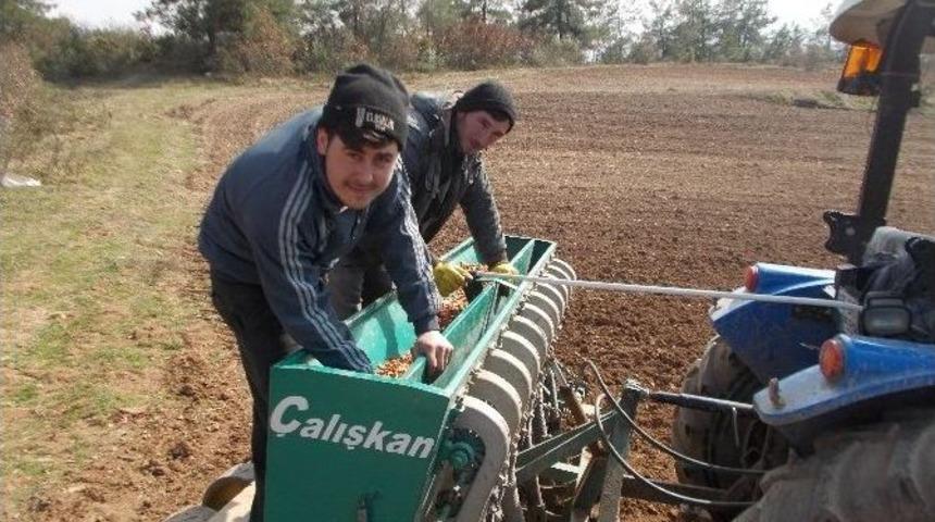 &Uuml;reticinin Umudu Soğan