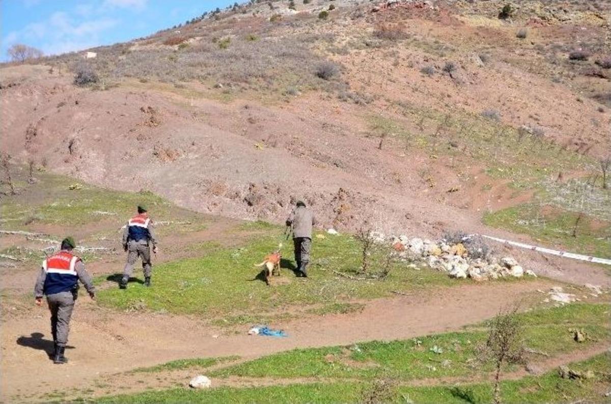 Jandarma Bomba Uzmanı K&ouml;peklerle Yeniden Arama Yaptı