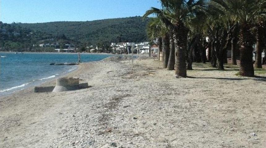 Bitez Sahili Yenileniyor