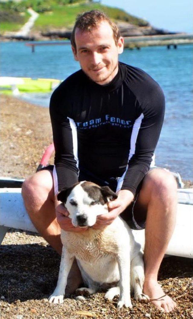 Sokak Köpeğiydi, Artık Sörf Yapıyor 2