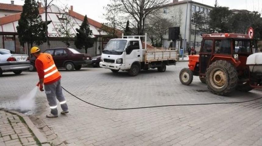 &Ccedil;an Belediyesi Haşereyle M&uuml;cadeleye Başladı
