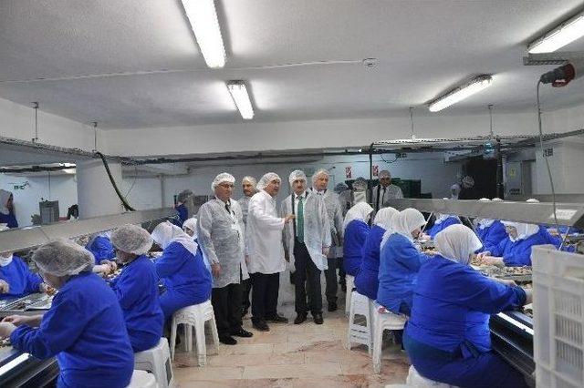 Vali Bektaş İzmir&rsquo;de Organik Tarım İşletmelerini İnceledi 2