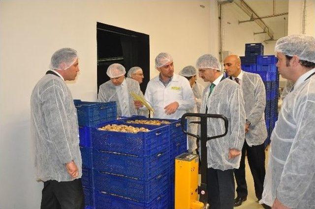 Vali Bektaş İzmir&rsquo;de Organik Tarım İşletmelerini İnceledi 3