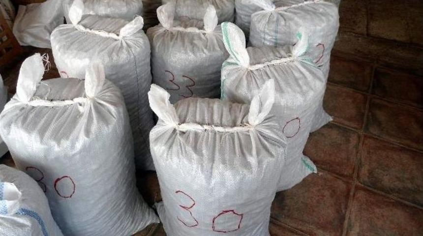 Dat&ccedil;a &Ccedil;ağla Bademi Avrupa Pazarında