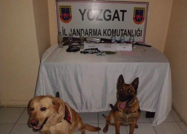 Yozgat Jandarma Köylerde Uyuşturucu Madde Satışı Ve İmalatına Geçit Vermiyor