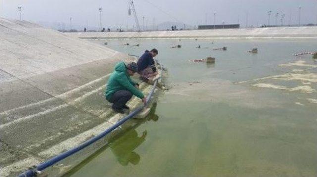 Sukayağı Parkında Hazırlıklar Başladı